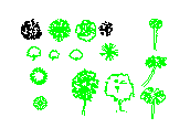 ARBOLELES.dwg