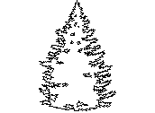 ARVLS025.dwg