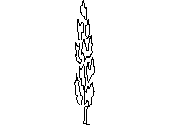 PIN-X1.dwg